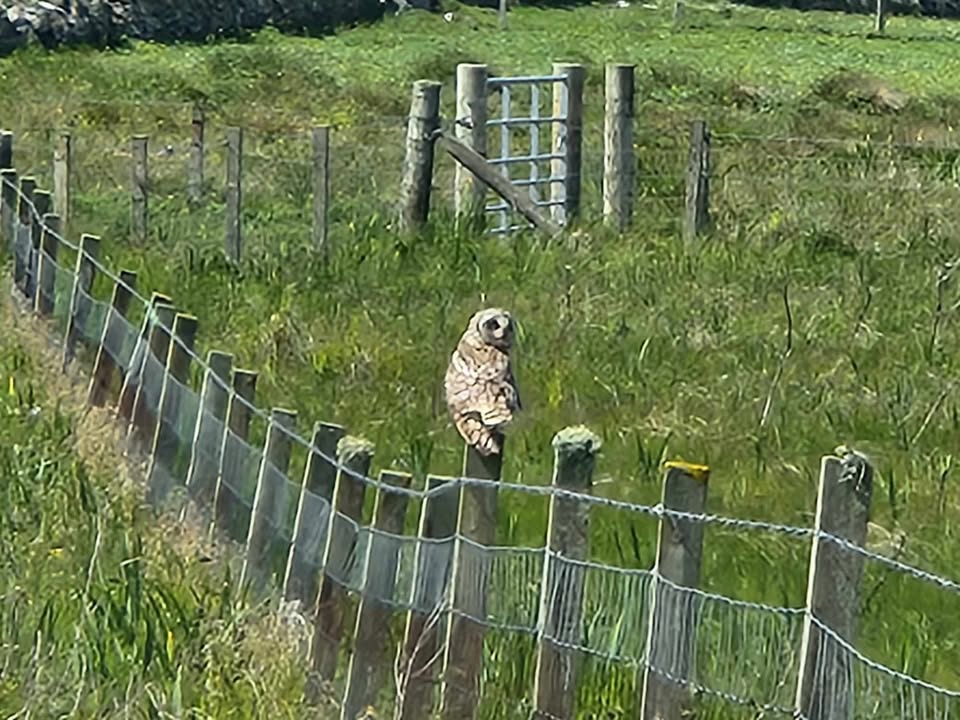 Outer Hebrides 2025 Image 14
