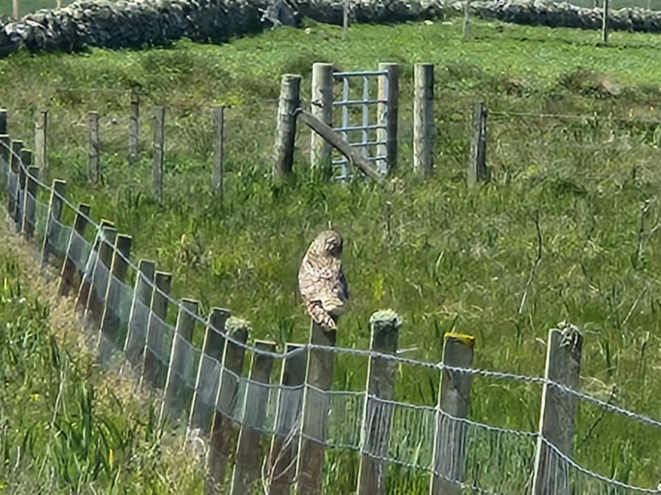 Outer Hebrides 2025 Image 17
