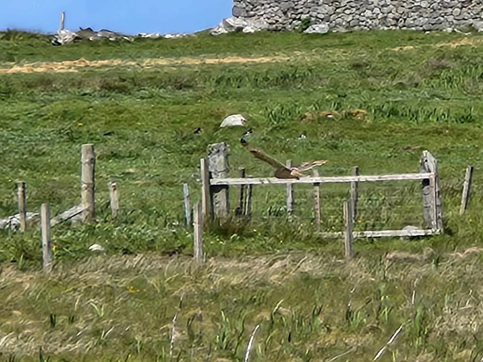 Outer Hebrides 2025 Image 4