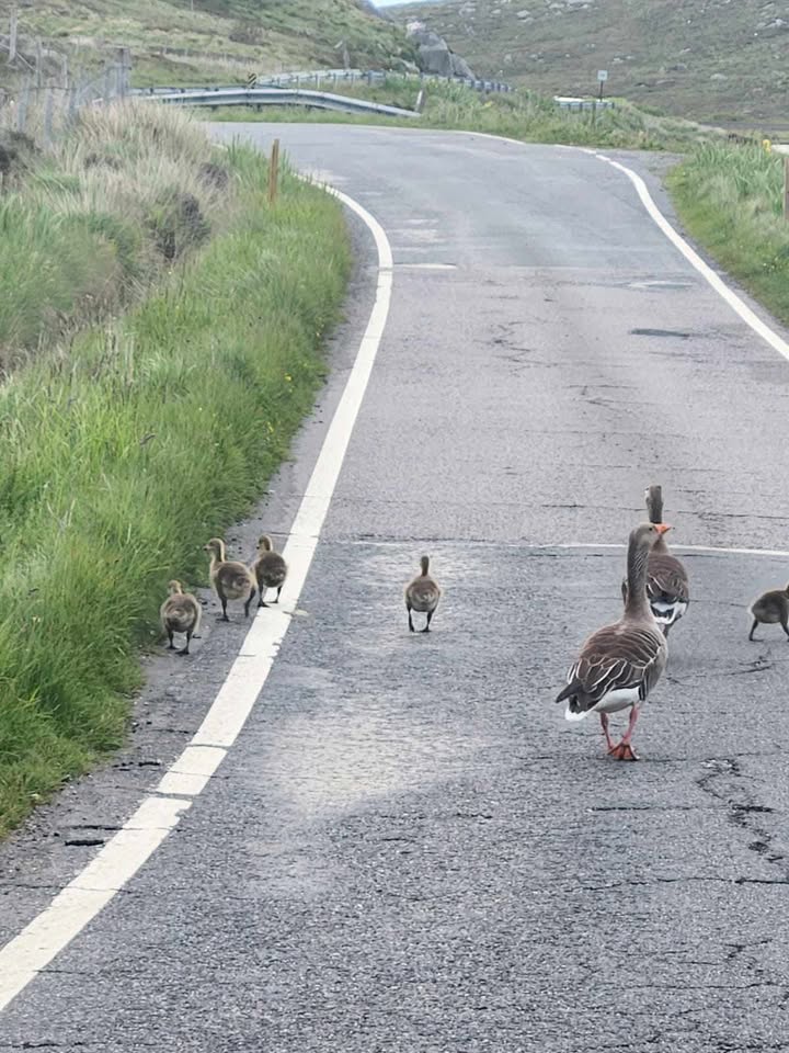 Outer Hebrides 2025 Image 8