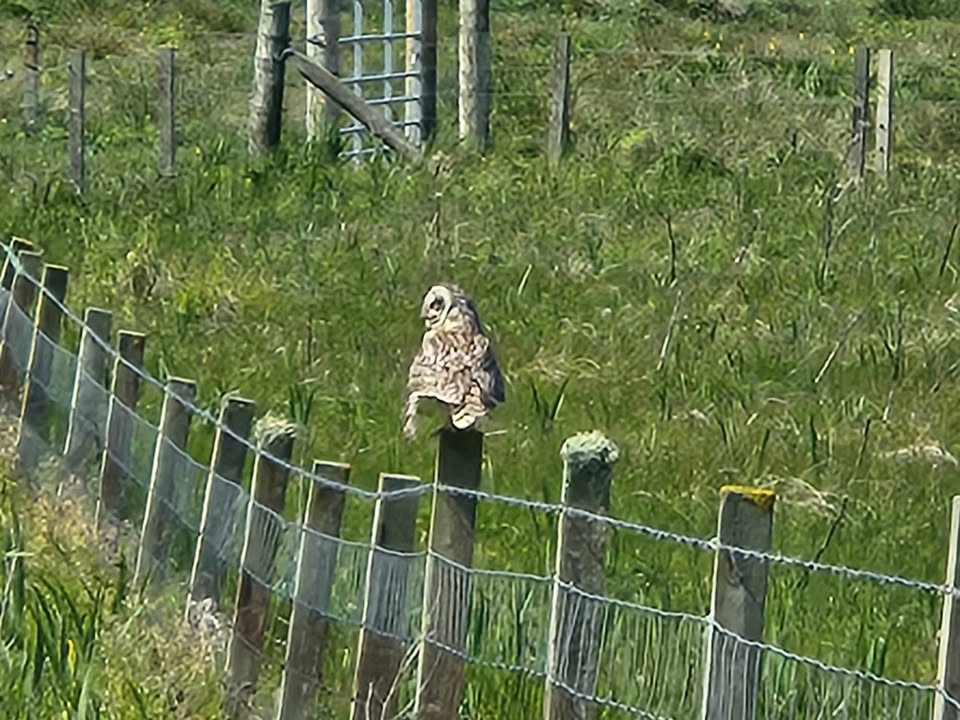 Outer Hebrides 2025